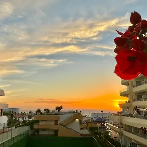 https://apartment-ocean-park-in-costa-adeje-tenerife.in-canary-islands.com